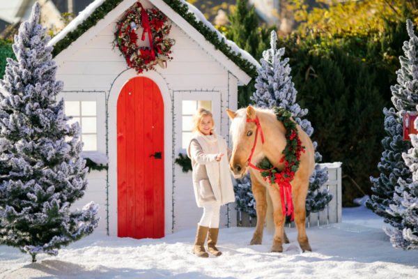 Ride the Bearfoot Ranch ponies at Hunter's Christmas Tree Farm