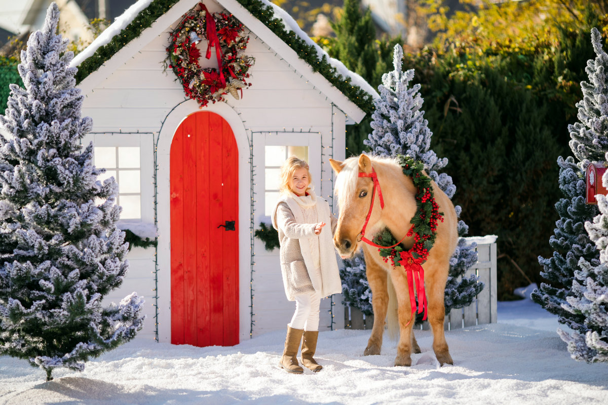 Ride the Bearfoot Ranch ponies at Hunter's Christmas Tree Farm