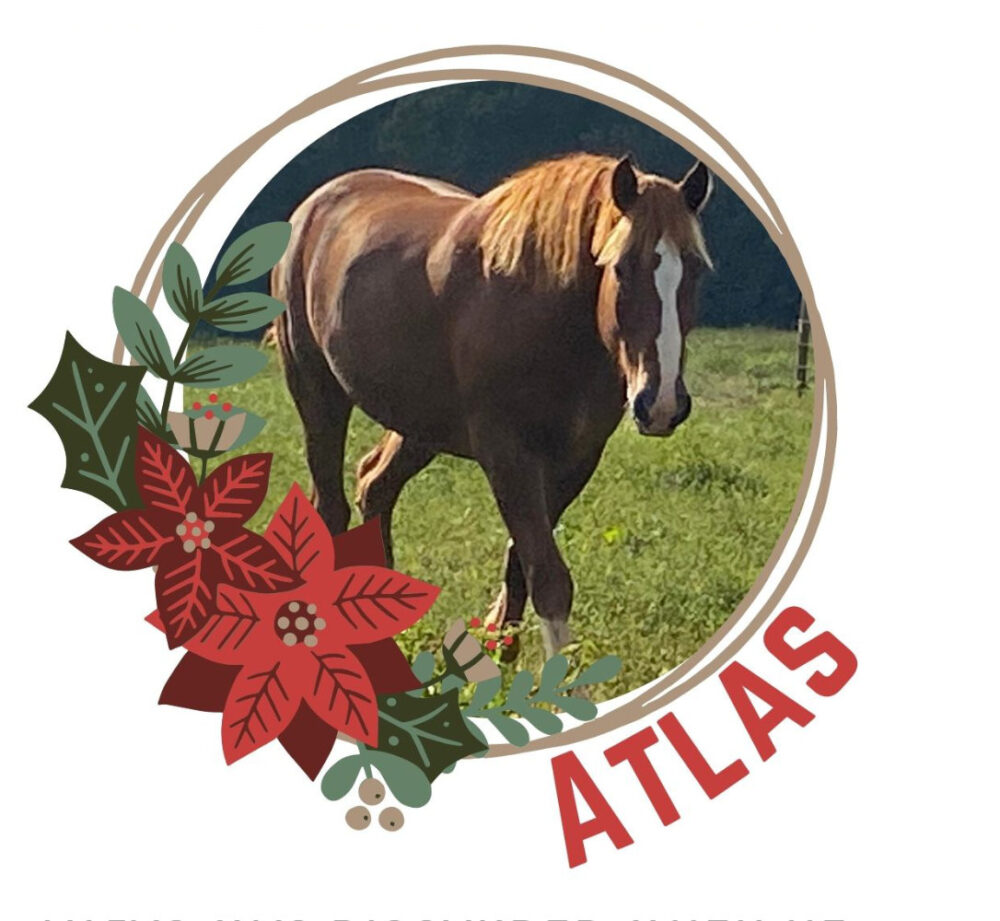 Donate to help Atlas