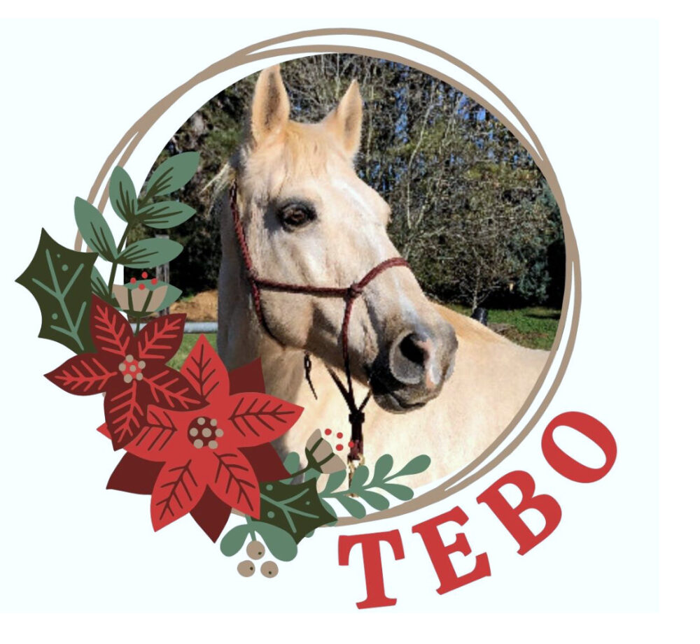 Donate to help Tebo