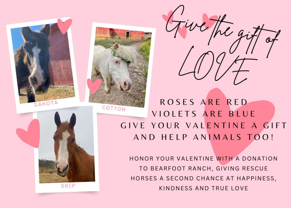 Give the Gift of Love this Valentine's Day