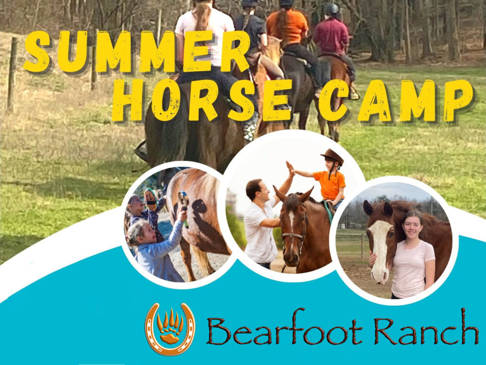 Horse Summer Camp 2023 - One Day or Full Week Camp for children