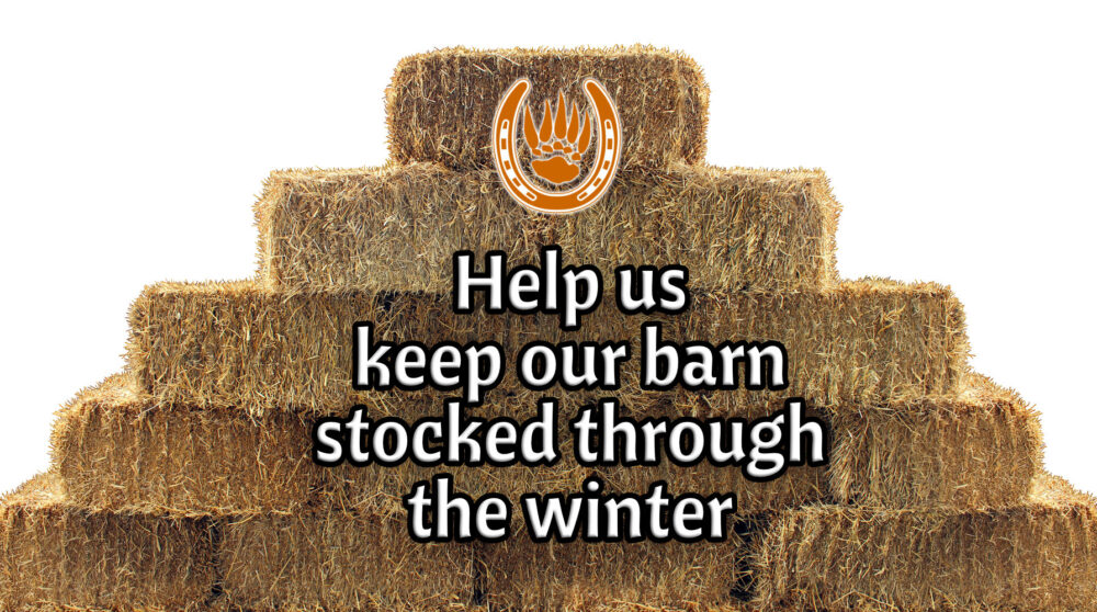 Bearfoot Ranch needs your help to stock hay for the winter